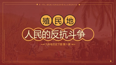 《殖民地人民的反抗斗争》PPT精品教学课件下载
