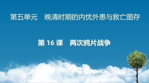 《两次鸦片战争》PPT精品课件下载