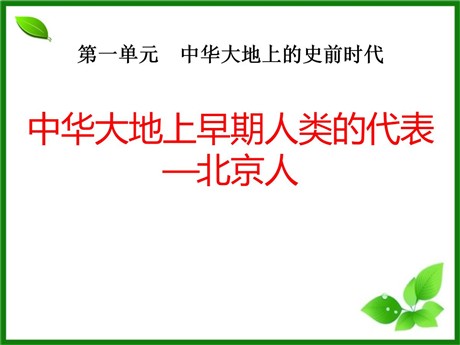 《中华大地早期人类的代表—北京人》中华大地上的史前时代PPT课件2