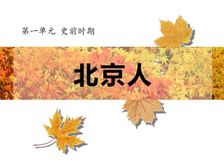 《北京人》史前时期PPT课件