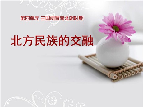 《北方民族的交融》三国两晋南北朝时期PPT课件2