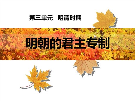 《明朝的君主专制》明清时期PPT课件2
