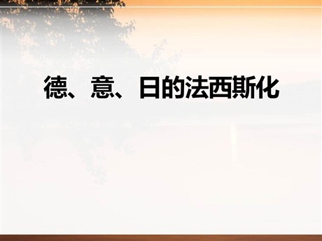 《德、意、日的法西斯化》凡尔赛—华盛顿体系下的东西方世界PPT课件3