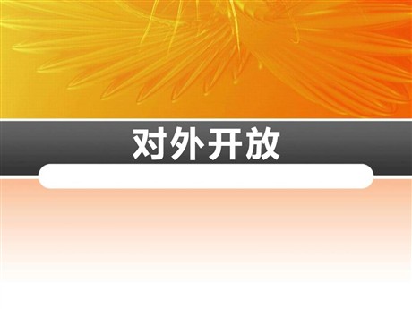 《对外开放》PPT课件下载