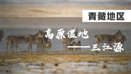 《高原湿地三江源地区》青藏地区PPT免费课件