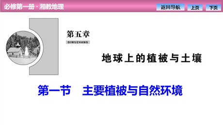 《主要植被与自然环境》地球上的植被与土壤PPT课件
