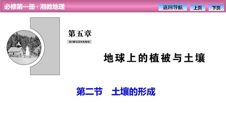 《土壤的形成》地球上的植被与土壤PPT课件