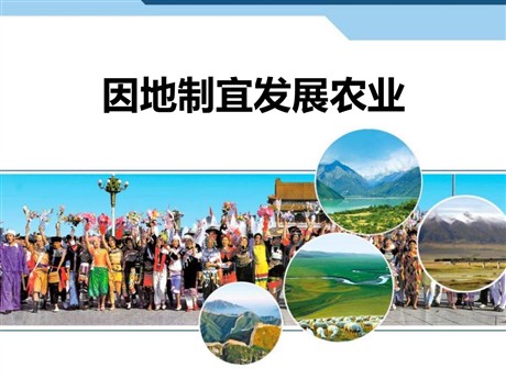 《因地制宜发展农业》PPT免费课件