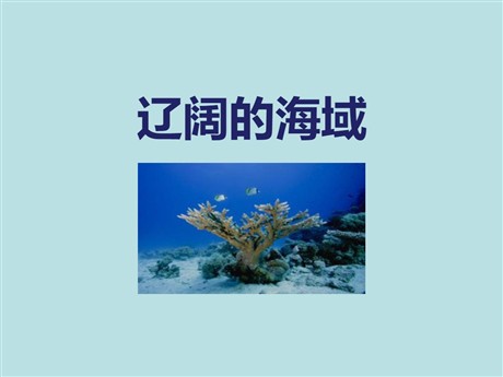 《辽阔的海域》PPT下载