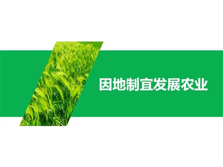 《因地制宜发展农业》PPT优质课件