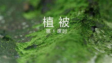 《植被》植被与土壤PPT下载(第1课时)