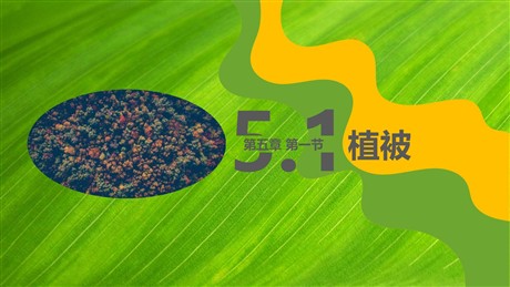 《植被》植被与土壤PPT教学课件