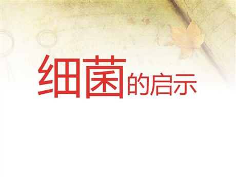 《细菌的启示》PPT课件2
