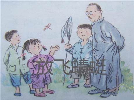 《放飞蜻蜓》PPT课件3