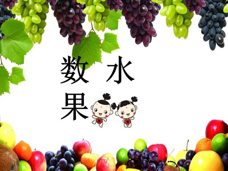 《数水果》PPT课件2