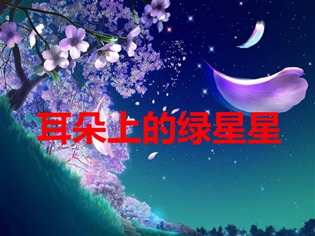 《耳朵上的绿星星》PPT课件3
