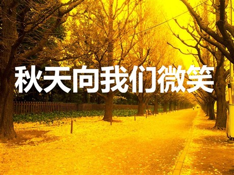 《秋天向我们微笑》PPT课件3