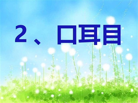 《口耳目》PPT课件5