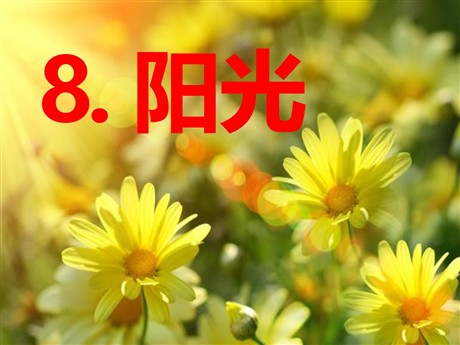 《阳光》PPT课件5