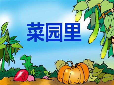 《菜园里》PPT课件4