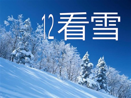 《看雪》PPT课件
