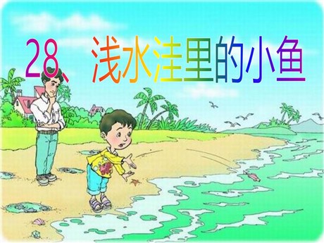 《浅水洼里的小鱼》PPT课件