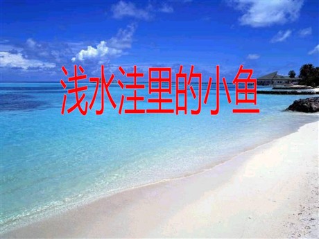 《浅水洼里的小鱼》PPT课件3