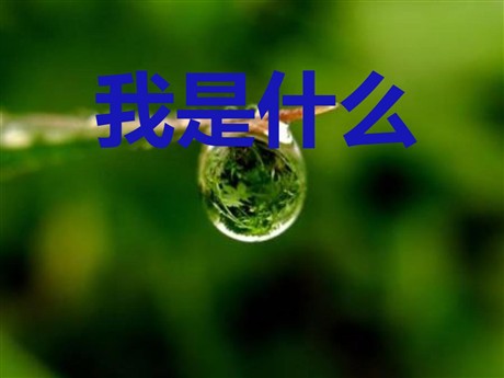 《我是什么》PPT课件3