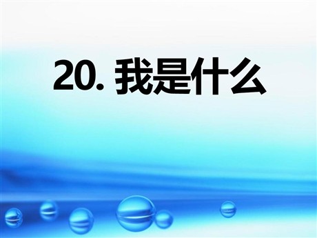 《我是什么》PPT课件5