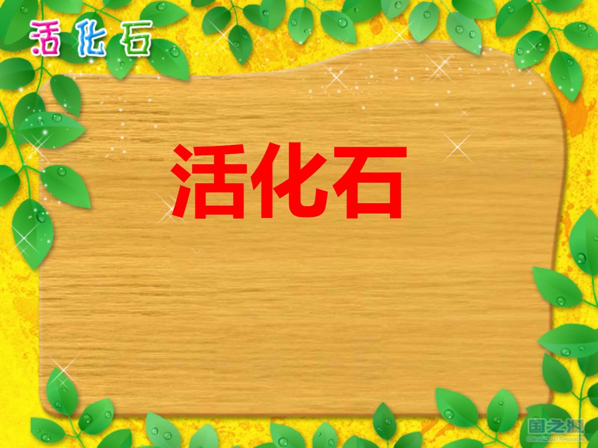 《活化石》PPT课件2