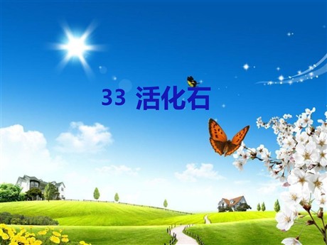 《活化石》PPT课件3