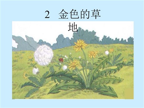 《金色的草地》PPT课件5
