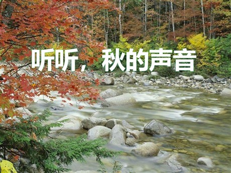 《听听，秋的声音》PPT课件2