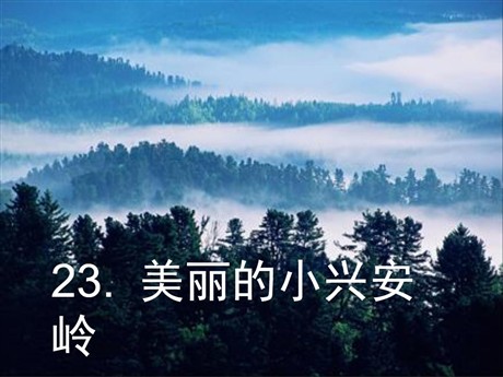 《美丽的小兴安岭》PPT课件3