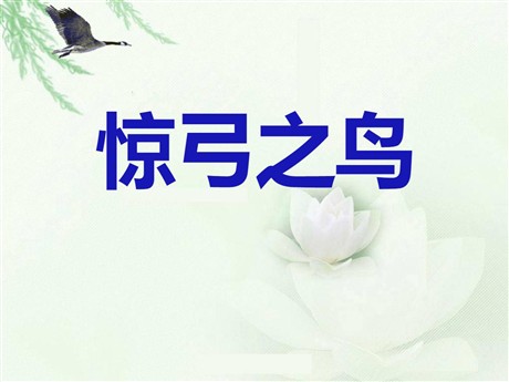 《惊弓之鸟》PPT课件9