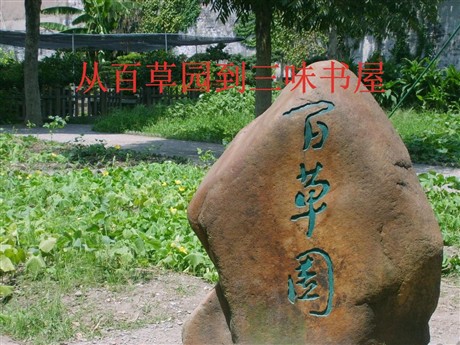 《从百草园到三味书屋》PPT课件4