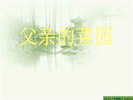 《父亲的菜园》PPT课件6