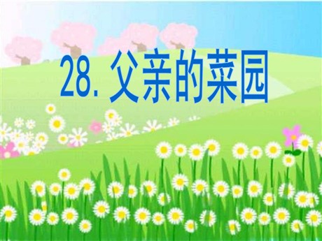 《父亲的菜园》PPT课件7