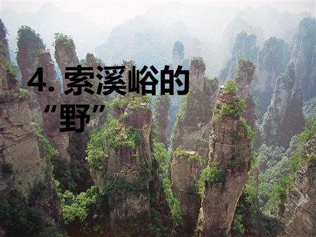 《索溪峪的“野”》PPT课件下载9