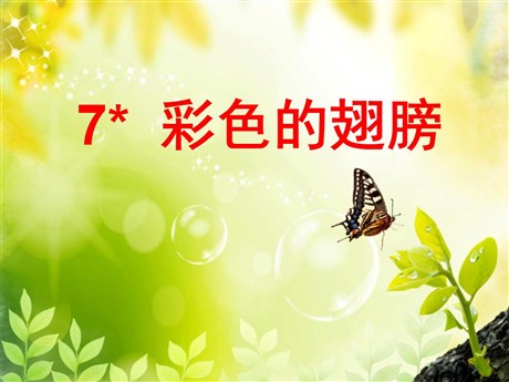 《彩色的翅膀》PPT课件6
