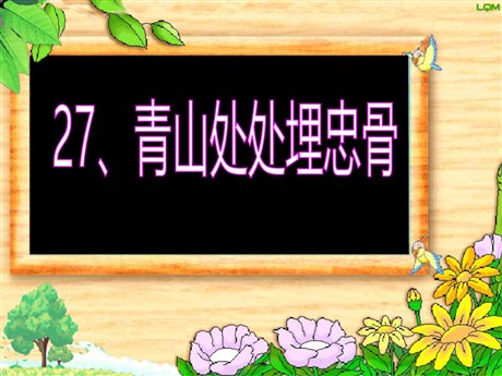 《青山处处埋忠骨》PPT课件5