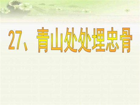 《青山处处埋忠骨》PPT课件7