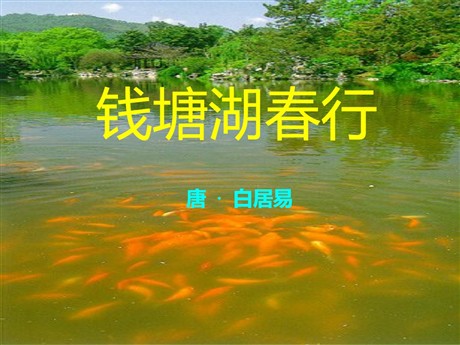 《钱塘湖春行》PPT课件7