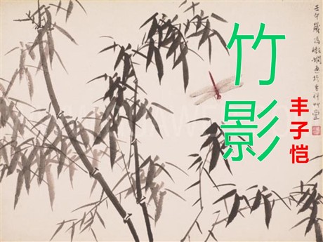 《竹影》PPT课件8