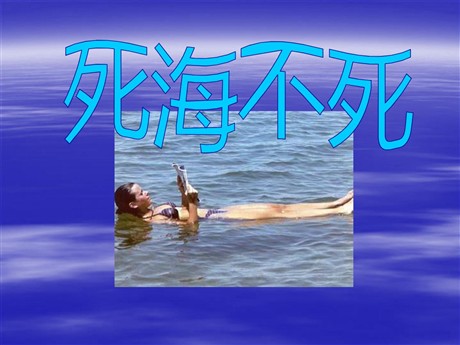 《死海不死》PPT课件3