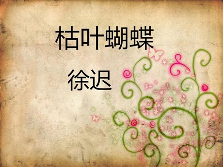 《枯叶蝴蝶》PPT课件4