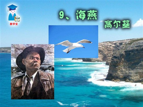《海燕》PPT课件11