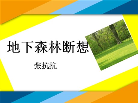 《地下森林断想》PPT课件4