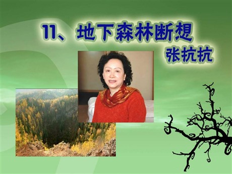 《地下森林断想》PPT课件6