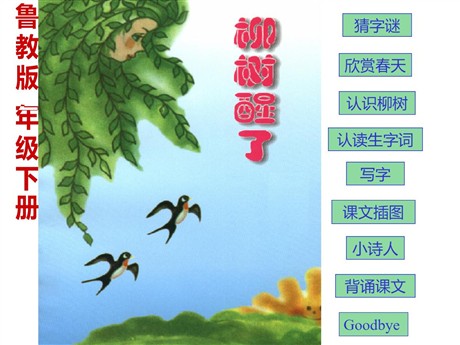 《柳树醒了》PPT课件8